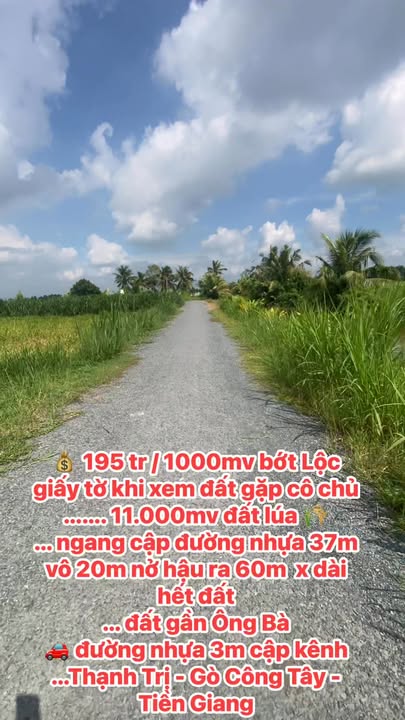 Đất lúa 11.000m² Thạnh Trị - Gò Công Tây chỉ 195 triệu - Cơ hội vàng cho nhà đầu tư!