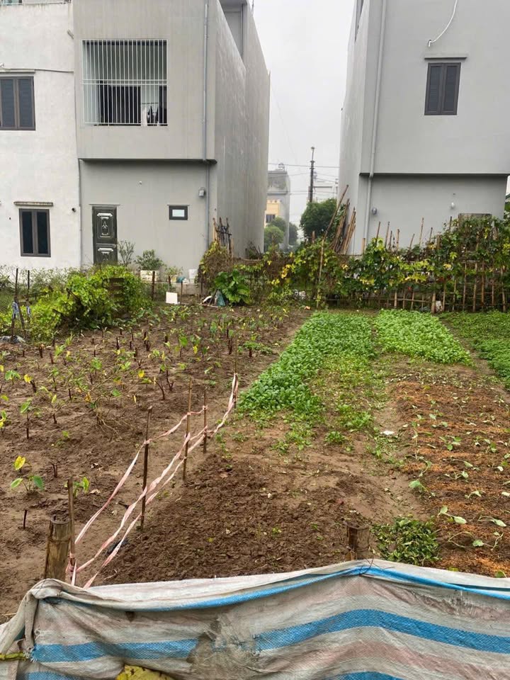 Đất TDC Cửa Đình Tiền Phong 63m² giá 2.1 tỷ - Sổ đỏ sang tên ngay!