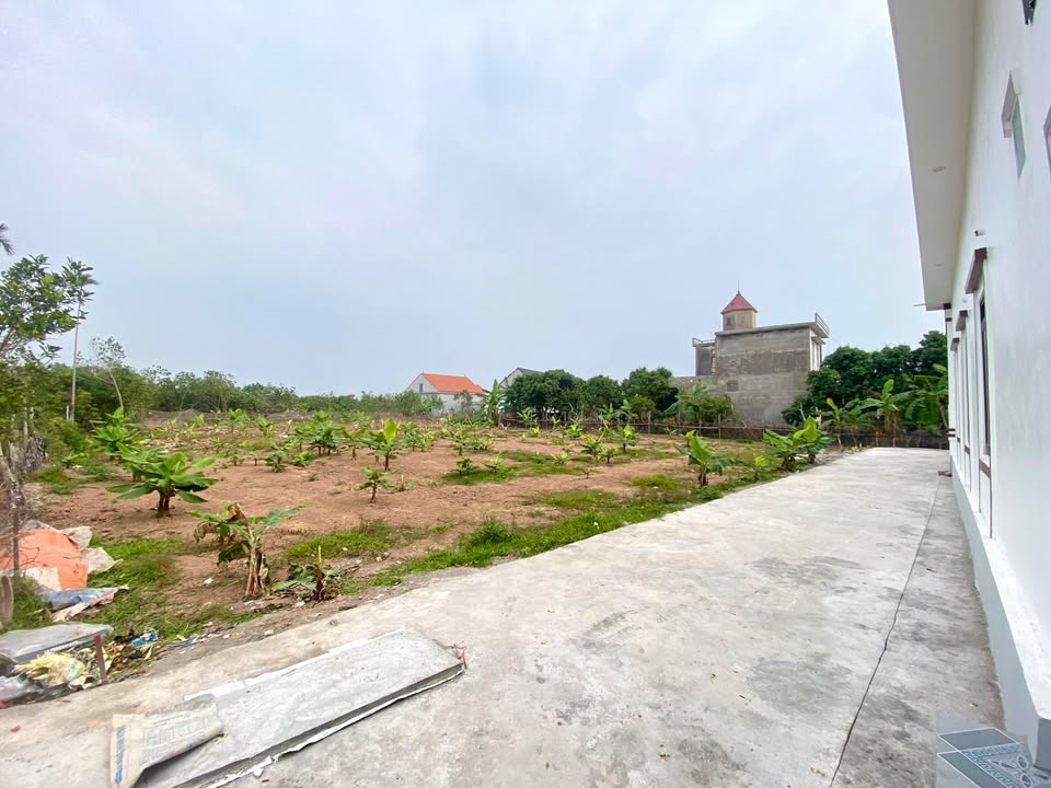 Đất thổ cư 100m² tại Xã Thanh Quang, Thanh Hà - Giá chỉ 500 triệu VND!