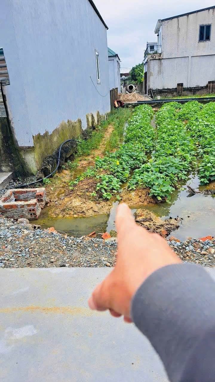 Đất Nghi Kim 56,6m² giá tốt - Vị trí đắc địa gần trường học và bệnh viện