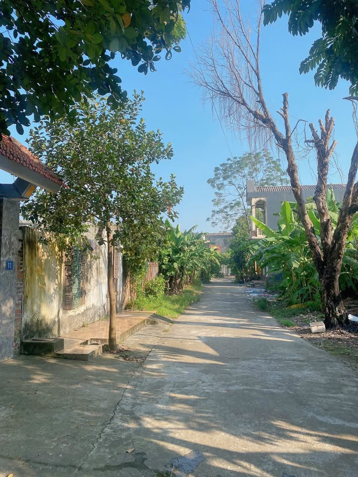 Đất nền Bến Gót, Việt Trì 80m² giá 1.2 tỷ - Cơ hội đầu tư tuyệt vời!