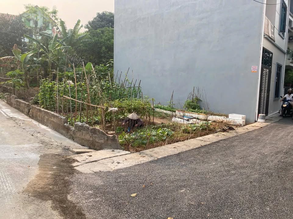 Đất nền 90m² đường Nguyễn Tất Thành, Việt Trì - Giá chỉ 1.6 tỷ, kinh doanh thuận lợi!