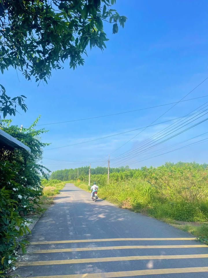 Nhà vườn An Viễn 533m² giá 1.3 tỷ - Sổ hồng chính chủ, gần đường nhựa!