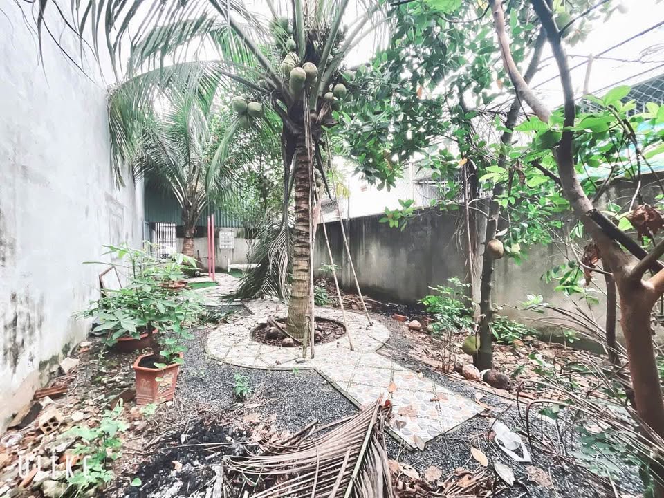 Nhà cho thuê tại Trảng Dài, Biên Hòa 100m² giá chỉ 3 triệu - Không gian sân vườn lý tưởng!