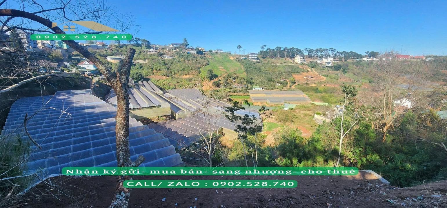 Đất Mặt Đường Nhựa Xuân Trường Đà Lạt 473m² giá 7.5 tỷ - Vị trí đắc địa, view đẹp!