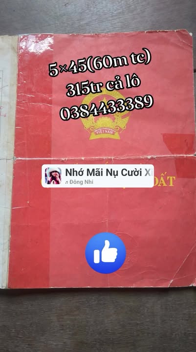 Đất nền đường Bùi Thị Xuân 225m² giá 315 triệu - Tiện ích đầy đủ, gần trung tâm!