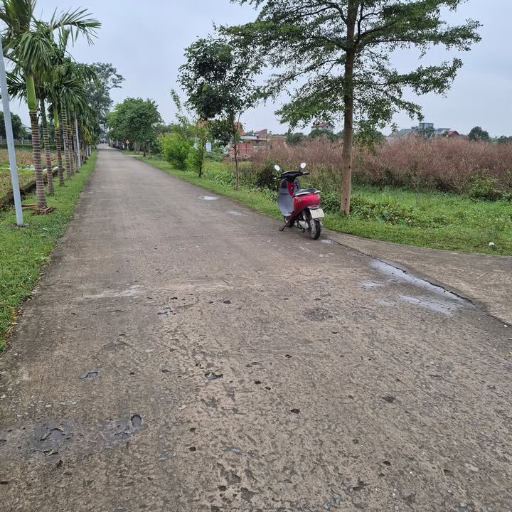 Đất nền Khánh Mậu, Yên Khánh 155m² giá 1.4 tỷ - Vị trí đẹp, tiện ích đầy đủ!