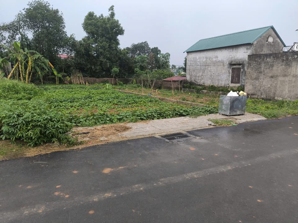 Đất thổ cư Phú Cát 239m² giá chỉ 2x triệu - Đầu tư sinh lời ngay!