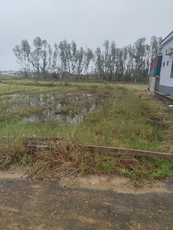 Đất thổ cư Yên Hòa - Cẩm Xuyên 184m² giá thỏa thuận - Đầu tư sinh lời cao!