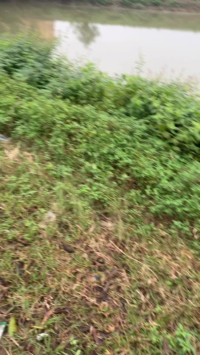 Đất nền Gia Tường Nho Quan 100m² giá thỏa thuận - Mặt đường 479 thuận tiện giao thông!