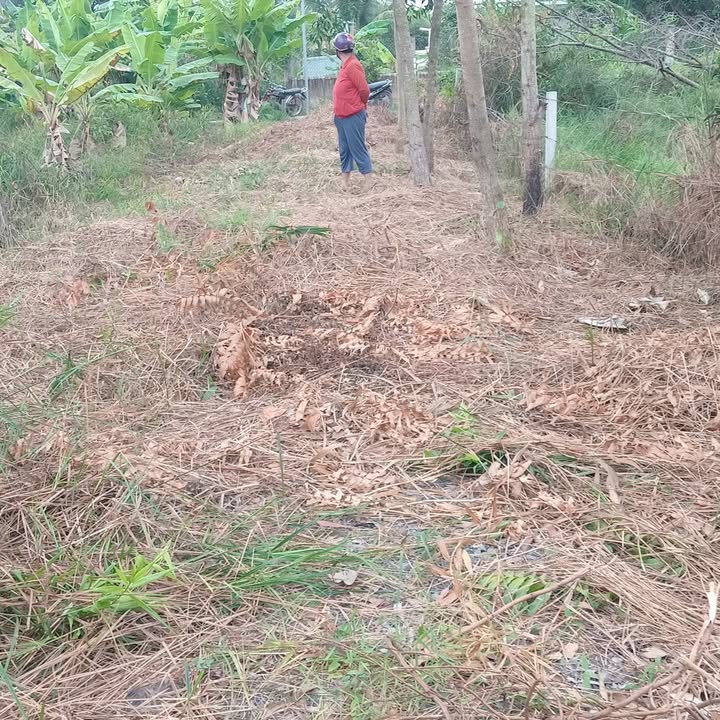 Đất thổ cư Long Cang 139m² giá 390 triệu - Cơ hội đầu tư hấp dẫn!