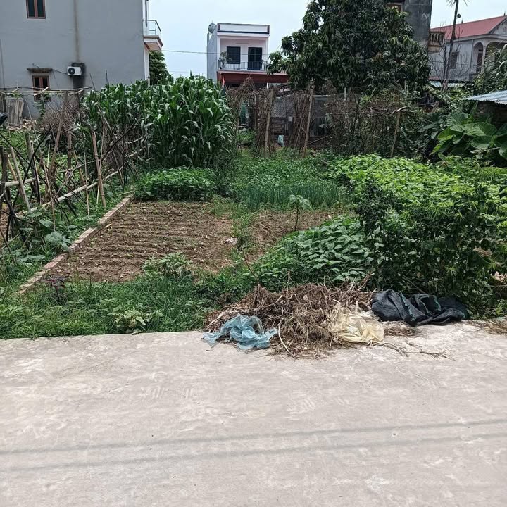 Đất thổ cư Bắc Thượng 66m² giá 2.6 tỷ - Ngõ thông rộng 4m, chính chủ bán!