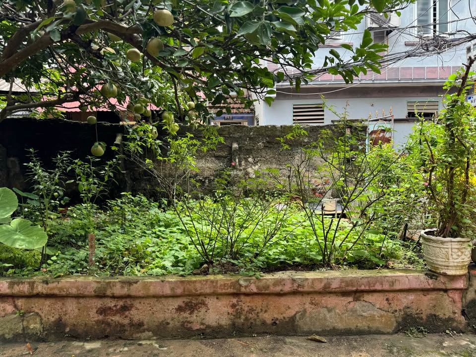 Đất Phường Trường Thi Thanh Hóa 43m² giá 600 triệu - Cơ hội đầu tư tuyệt vời!