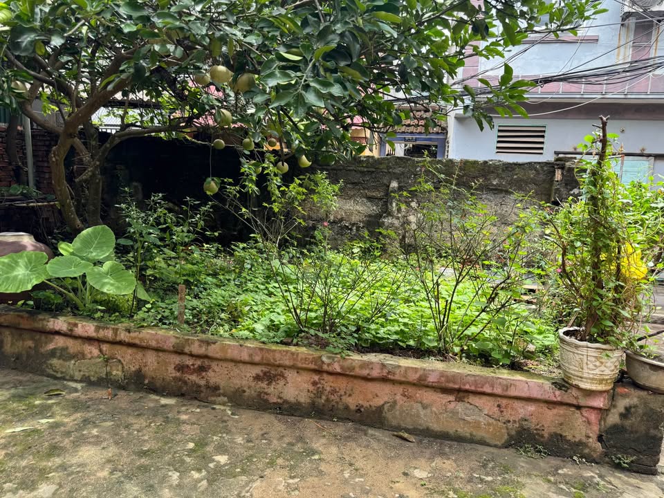 Đất nền chính chủ tại Phường Trường Thi, 43m² giá 600 triệu - Cơ hội đầu tư tốt!