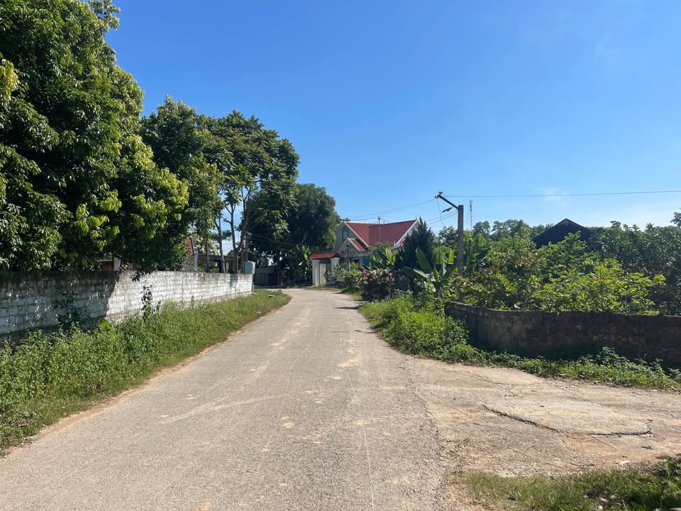 Đất thổ cư 200m² tại Thôn 5 - Hợp Tiến, Triệu Sơn - Giá tốt, đầu tư sinh lời!