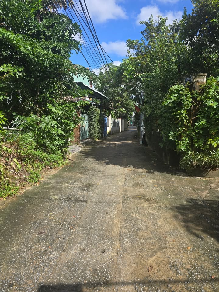 Đất đẹp Hòa Thọ Đông 122m² giá 3.69 tỷ - Cơ hội đầu tư hấp dẫn!