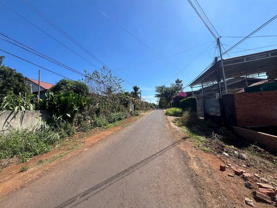 Đất nền mặt tiền đường nhựa Khánh Xuân 1000m² giá 3.3 tỷ - Cơ hội đầu tư tuyệt vời!