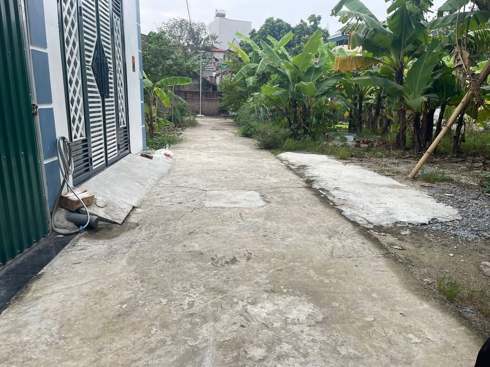 Đất nền Phượng Mỹ, Mỹ Hưng 53.2m² giá 4 tỷ - Cơ hội đầu tư tuyệt vời!