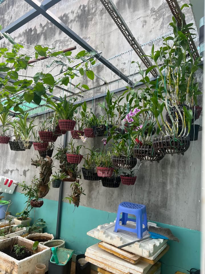 Nhà cho thuê 1 trệt 2 lầu đường Hoàng Hoa Thám, Vũng Tàu - Full nội thất, giá 12 triệu!