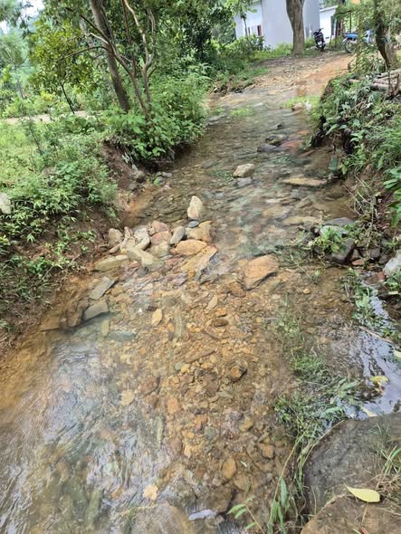 Đất nông nghiệp Quang Tiến 20.000m² giá tốt - Tiềm năng phát triển lớn!