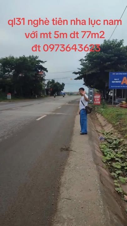 Đất nền mặt đường QL31, Lục Nam, Bắc Giang 77m² - Mặt tiền 5m, giá thỏa thuận!