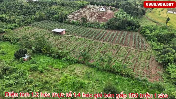 Đất nền 1.2ha Chư Pưh - Giá chỉ 4.32 tỷ - Đầy đủ điện nước!