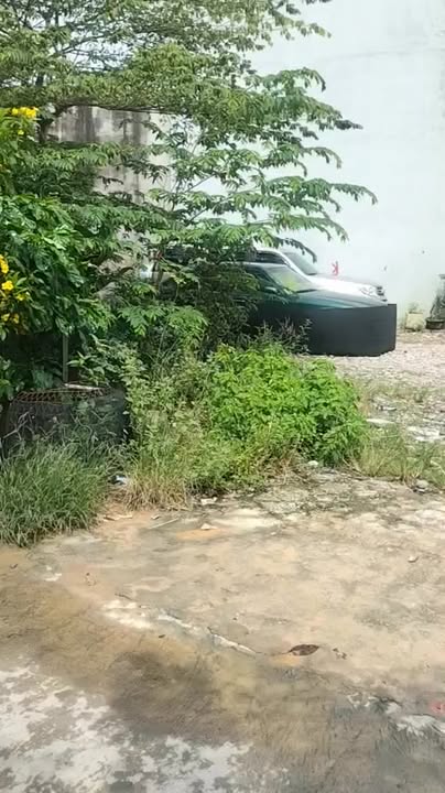 Đất nền 64m² đường 11, Linh Xuân, Thủ Đức - Đầu tư sinh lời cao!