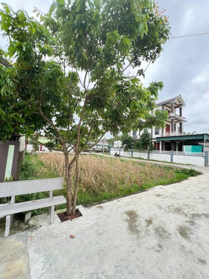 Đất nền Hậu Thành, Quỳ Hợp 276m² giá chỉ 1 tỷ - Đầu tư lý tưởng!