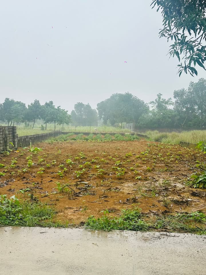 Đất mặt đường DH09, thôn 3 Phú Cát, 257m² giá thỏa thuận - Cơ hội đầu tư tuyệt vời!