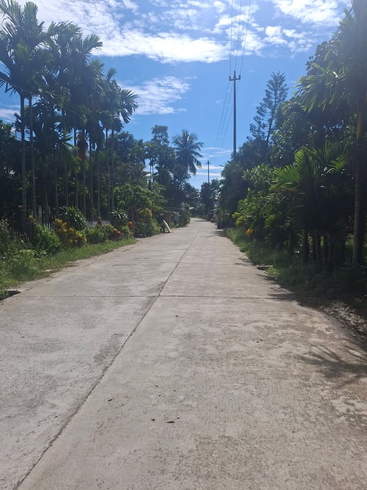 Bán gấp nhà mặt tiền Hòa Phong, Hòa Vang 180m² - Dân cư đông đúc, không ngập lụt!