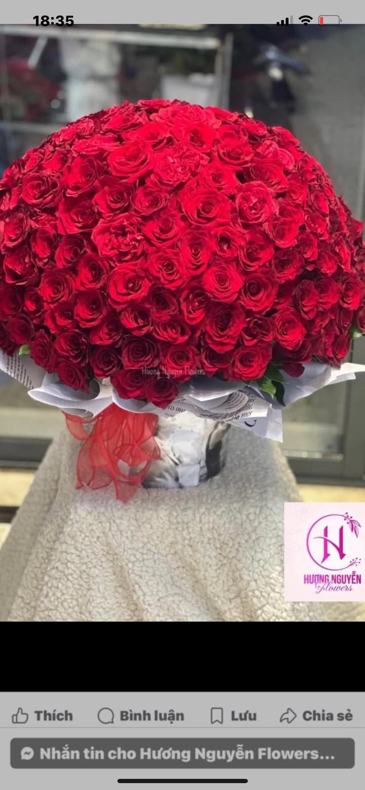 Dãy trọ 110m² đường Quan Châu, Hòa Xuân, Đà Nẵng - Kinh doanh thuận lợi!