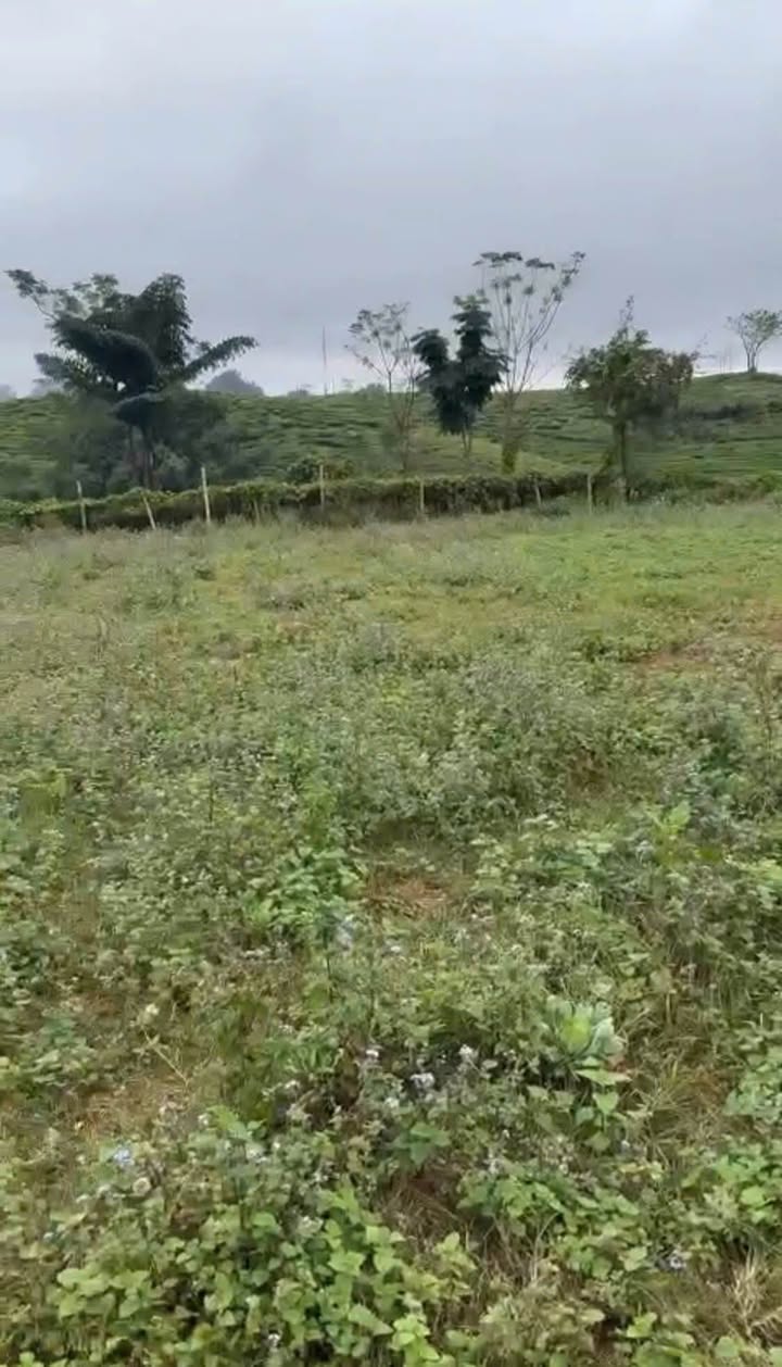 Đất thổ cư đẹp tại Vân Sơn, Mộc Châu 172,8m² - Tiềm năng tăng giá cao!