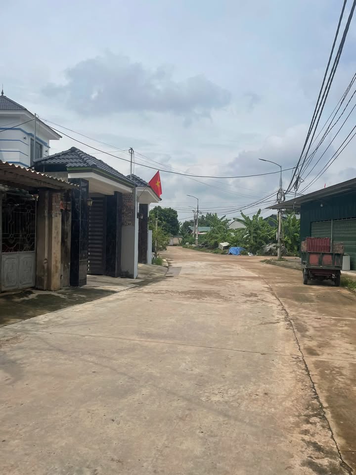 Đất nền đấu giá tại Cầu Trong, Mỹ Thái 99m² giá 1 tỷ - Cơ hội đầu tư sinh lời!