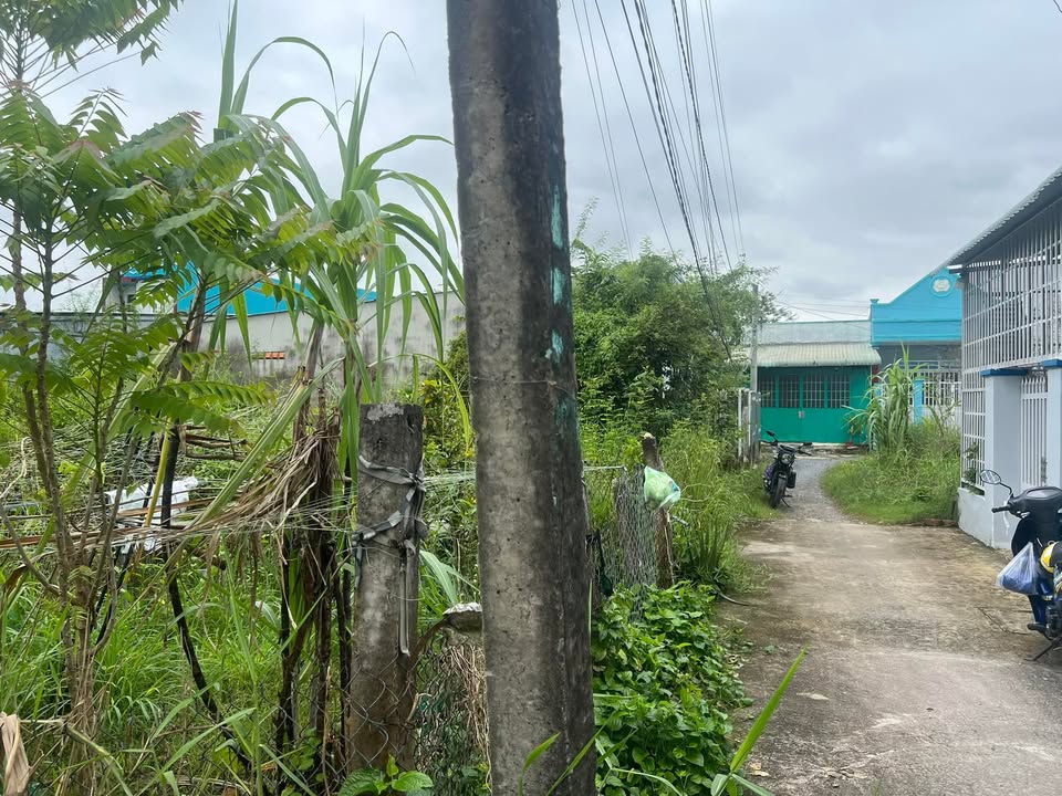 Đất thổ cư 110m² tại Phước Hưng 2, Cần Giuộc chỉ 1 tỷ - Sổ đỏ chính chủ!