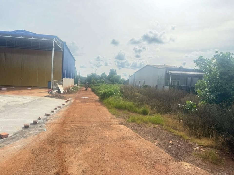 Đất thổ cư 500m² tại xã Ea Drăng, Đắk Lắk - Cơ hội đầu tư tuyệt vời!