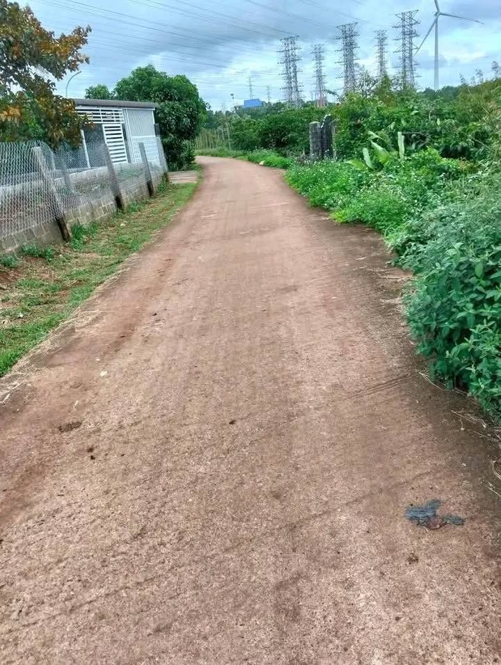 Đất thổ cư xã Ea Nam 350m² giá 600 triệu - Mặt tiền đường thuận lợi!