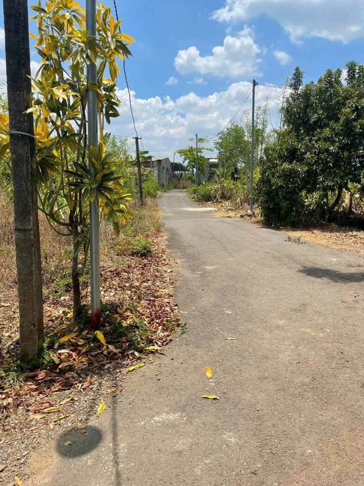 Đất vườn Trị An, Vĩnh Cửu 500m² giá 980 triệu - Đầu tư sinh lời ngay!