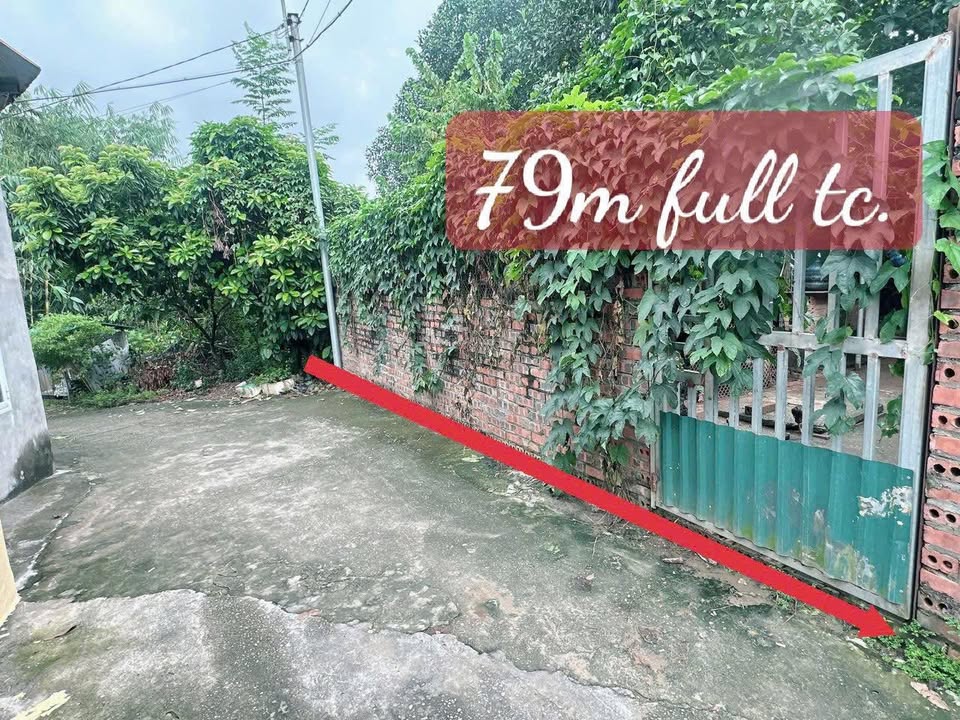 Đất nền Trưng Vương Việt Trì 79m² - Giá thỏa thuận, sổ đỏ chính chủ!