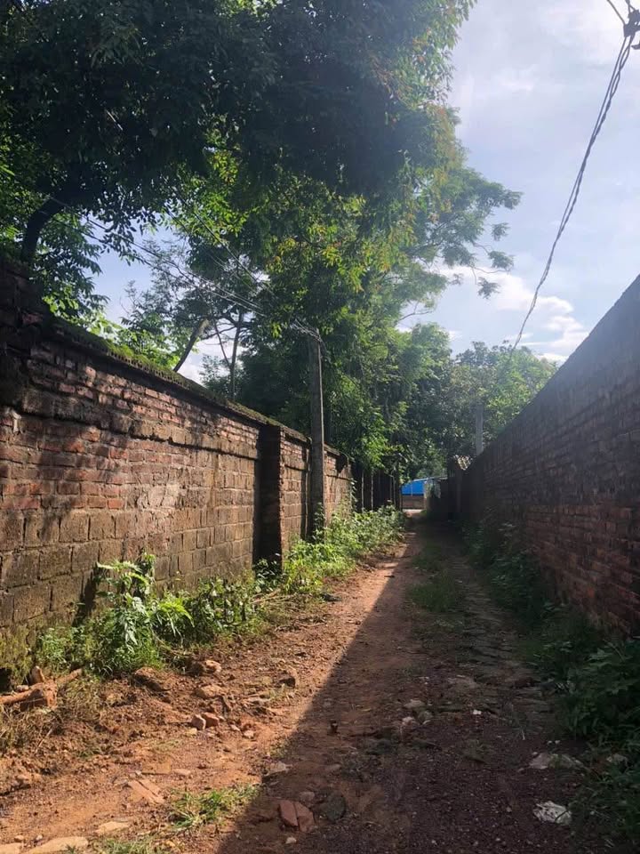 Đất nền Cẩm Lĩnh 312m² giá 2.1 tỷ - Đầu tư sinh lời ngay!