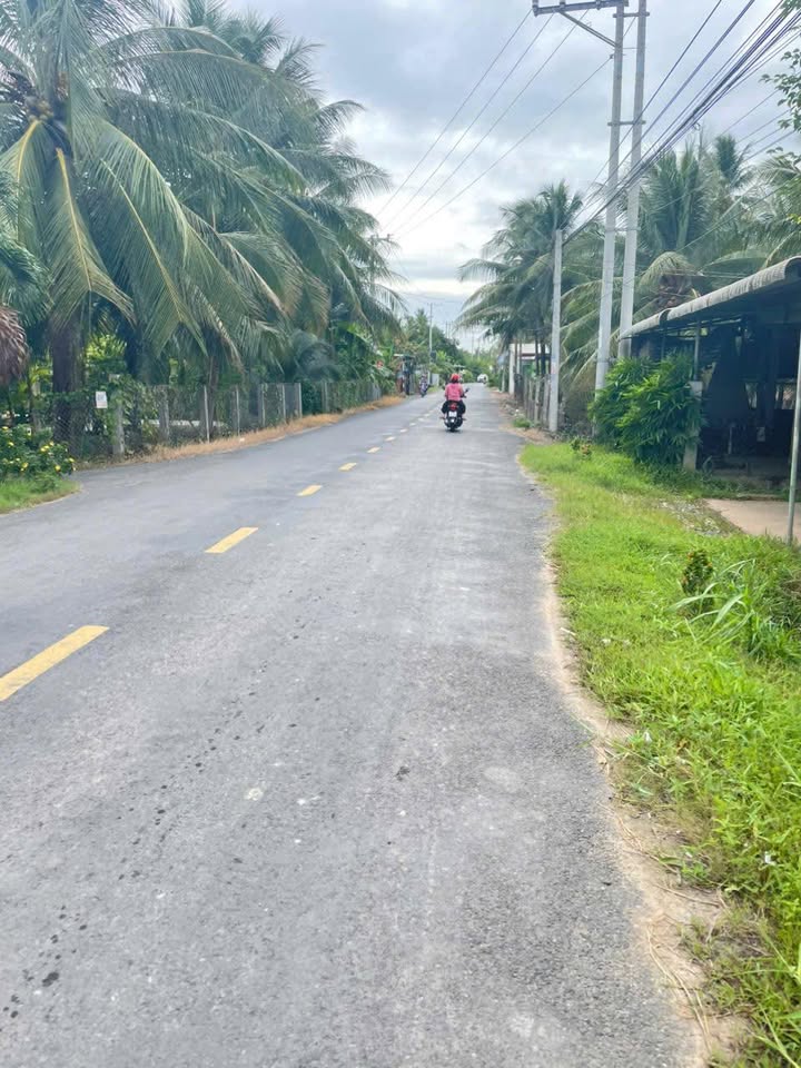 Đất mặt tiền huyện lộ 11 Tân Thanh Giồng Trôm 500m² - Đầu tư sinh lời ngay!