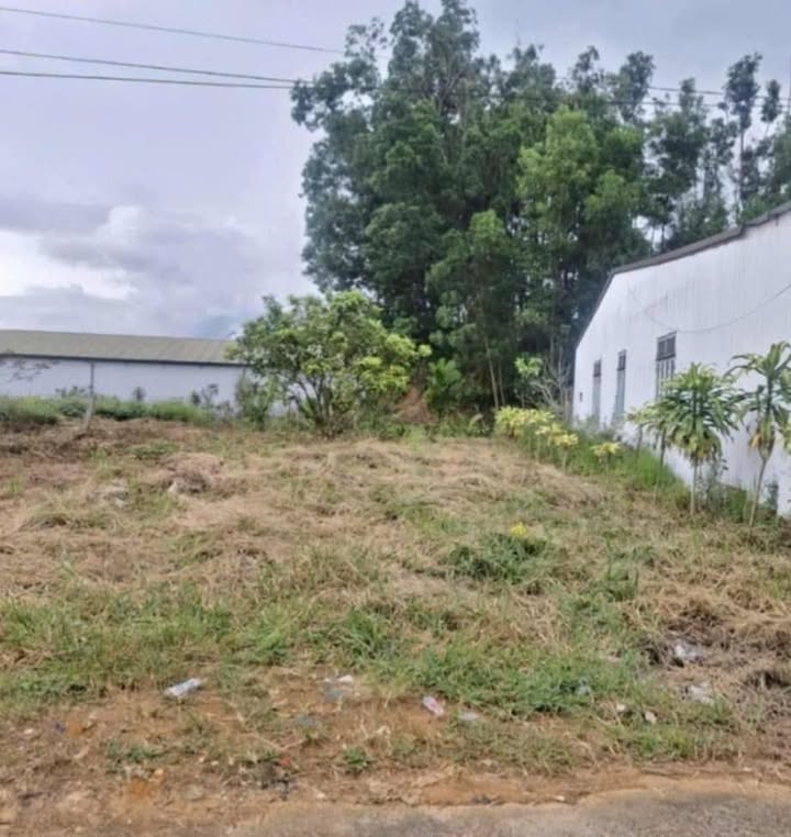 Đất nền Hẻm Ngô Tất Tố Bảo Lộc 600m² giá 1.5 tỷ - Sẵn sàng đầu tư!