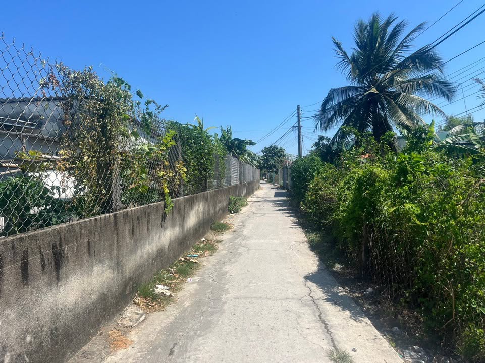 Đất nền 485m² tại Bình Nghị, Gò Công Đông giá 600 triệu - Cơ hội đầu tư tuyệt vời!