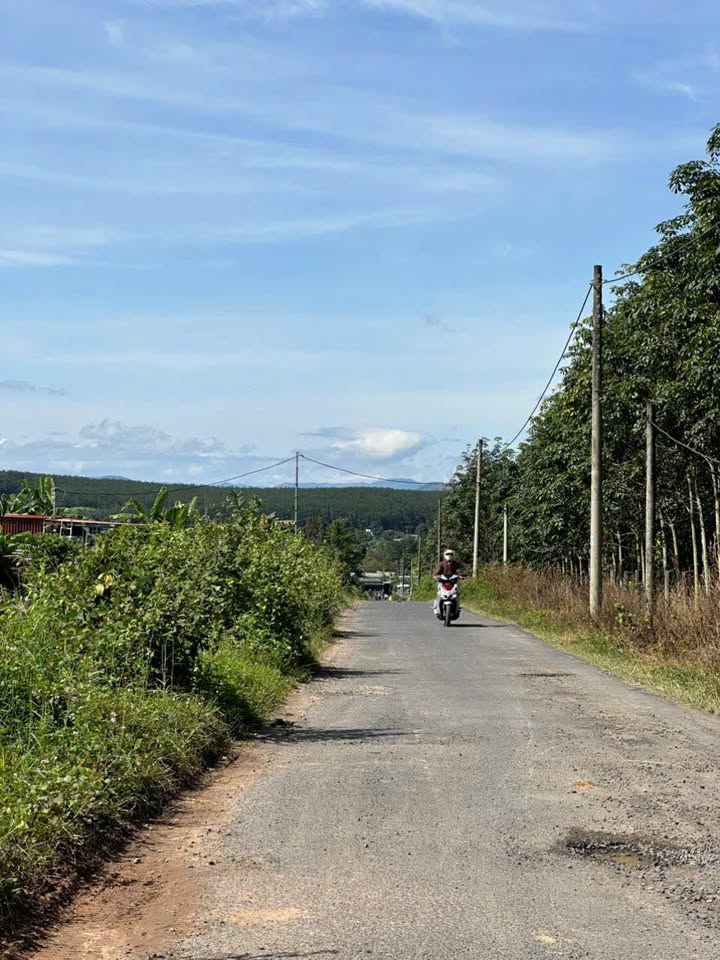 Đất thổ cư thôn 1, xã Đăk La, huyện Đăk Hà 3150m² - Cơ hội đầu tư tuyệt vời!