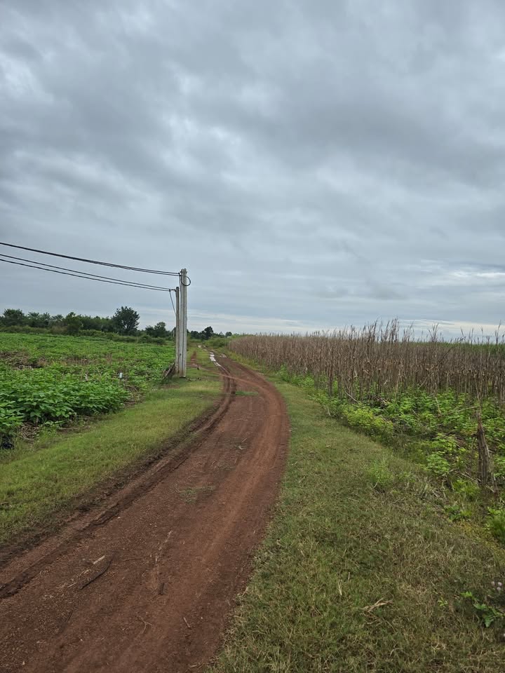 Đất nền Ea Wer, Buôn Đôn 14.000m² giá 1.1 tỷ - Sổ đỏ chính chủ