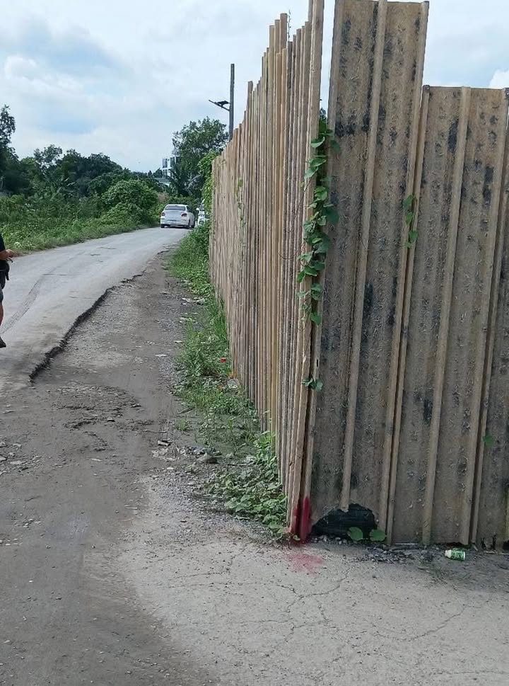 Đất nền 558m² mặt tiền đường Cầu Suối, Bình Chánh giá chỉ 2.5 tỷ - Sổ đỏ chính chủ!