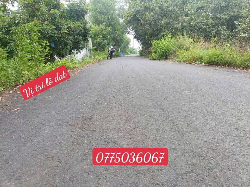 Đất nền Hòa Hội Xuyên Mộc 350m² giá 1.3 tỷ - Sổ hồng riêng chính chủ!