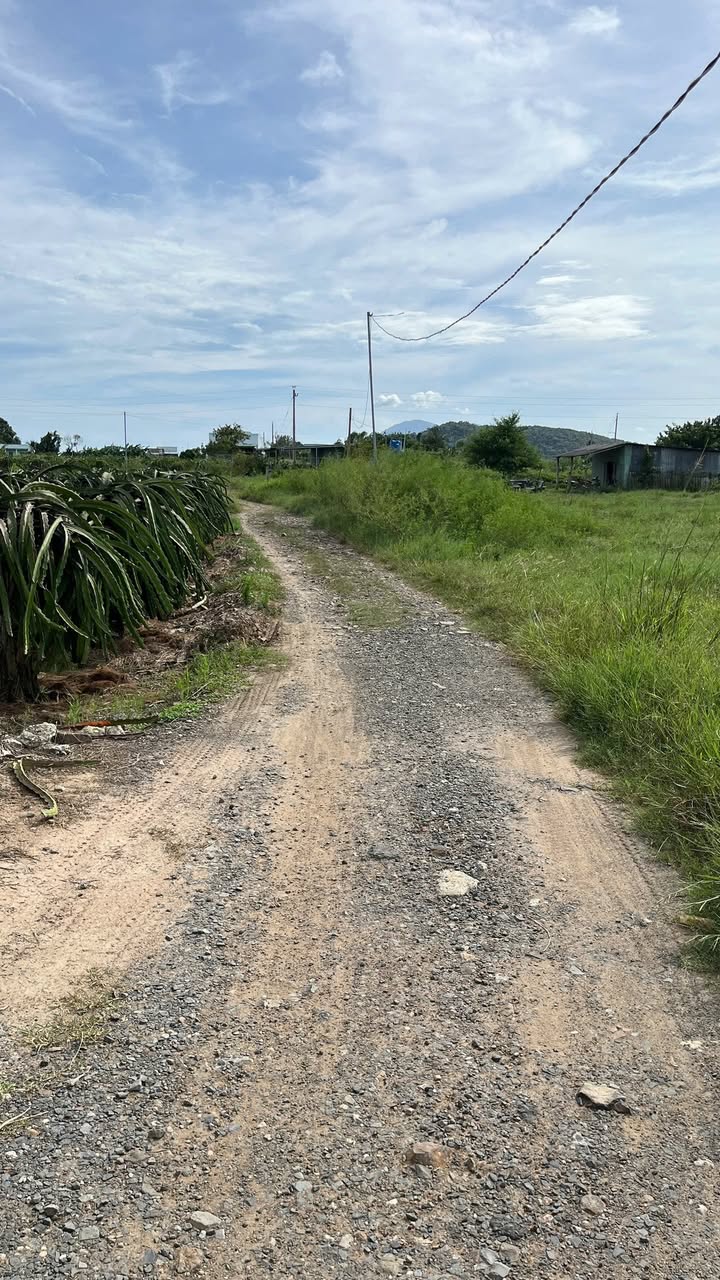 Đất nông nghiệp Hàm Cường 3.400m² giá chỉ 1.122 tỷ - Cơ hội đầu tư không thể bỏ lỡ!