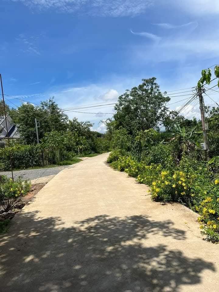 Đất thổ cư mặt đường bê tông thôn 1 xã Mỹ Đức - 156m² giá 260 triệu - Đường thông tứ phía!