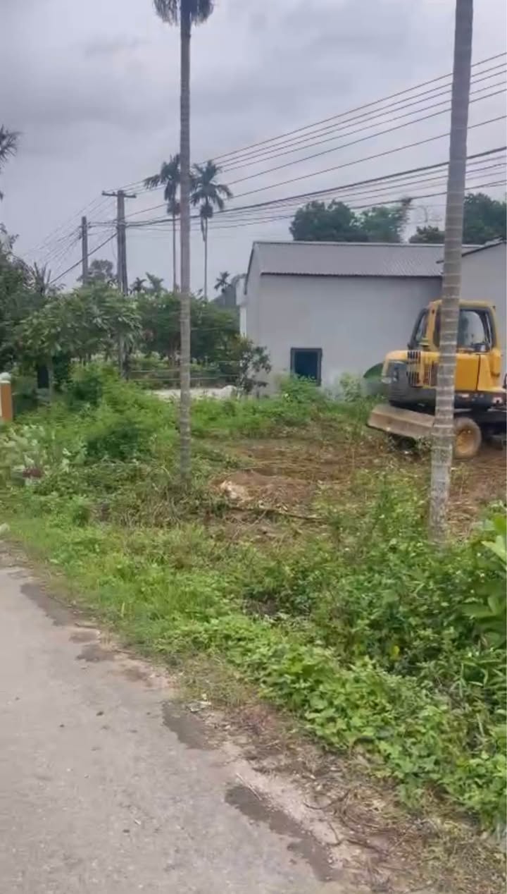 Đất nền tại Cao Dương, Lương Sơn 190m² giá chỉ vài trăm triệu - Cơ hội đầu tư tuyệt vời!