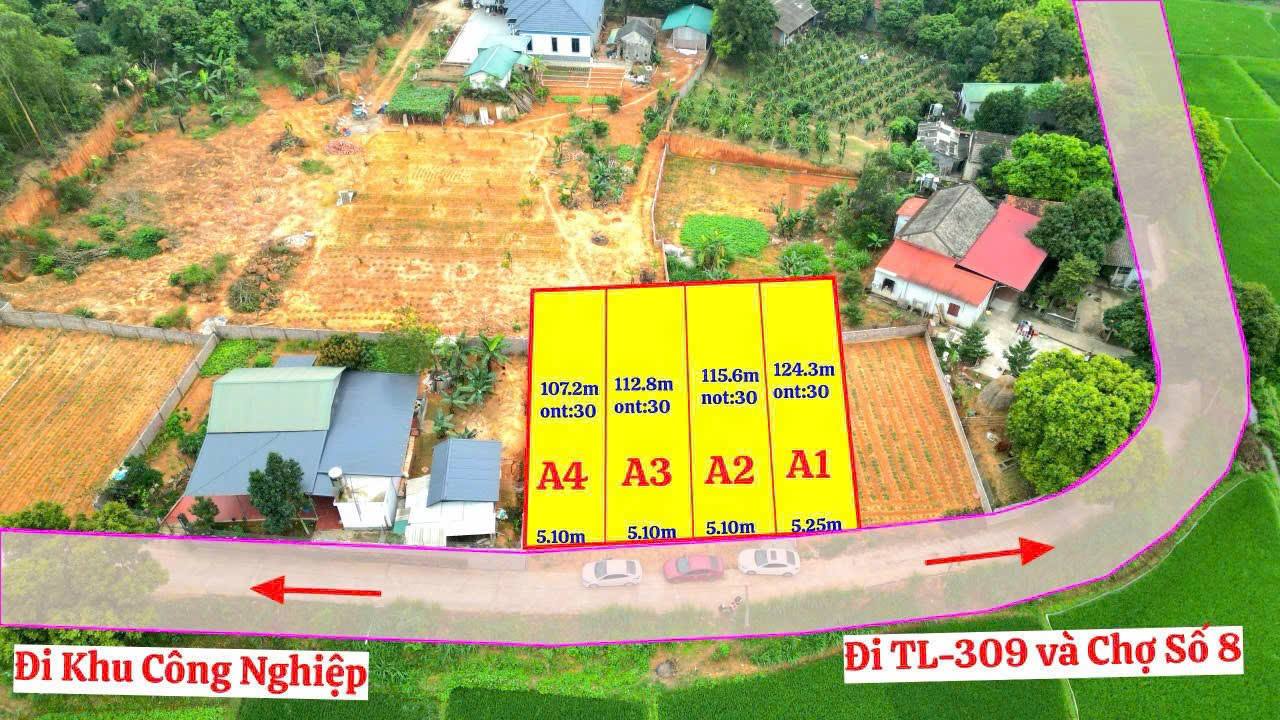 Đất nền Kim Long, Tam Dương 112.5m² giá chỉ 600 triệu - Giao thông thuận tiện!
